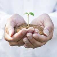 �����������������C���[�W