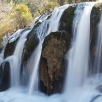 �����������������C���[�W