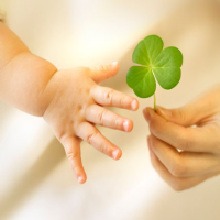 �����������������C���[�W